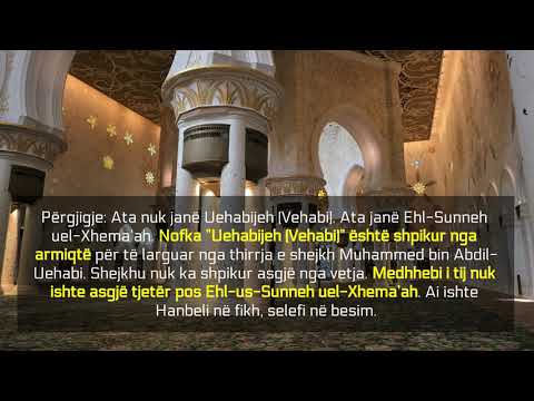 Termi Vehabi është shpikur nga armiku - Feuzan