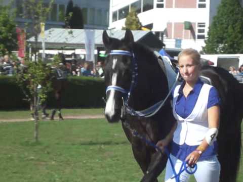 Paddock  Cena Vojtěcha z Pernštejna - Úvodní cross country města Pardubic
