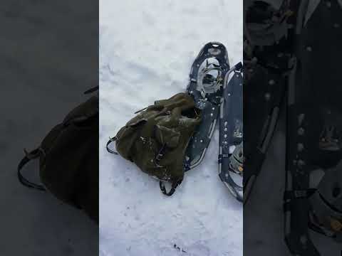 Latvalinnustus 1 päivä 2023