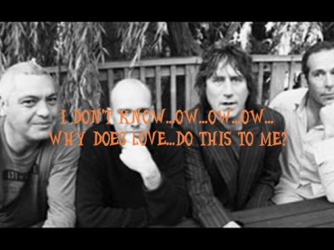 Why Does Love Do This To Me? The Exponents- with Lyrics