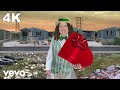 "Weird Al" Yankovic - Whatever You Like (Parody of "Whatever You Like" by T.I.)