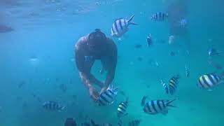 Two friends from England went swimming in Nha Trang and relaxing at Mini Beach.