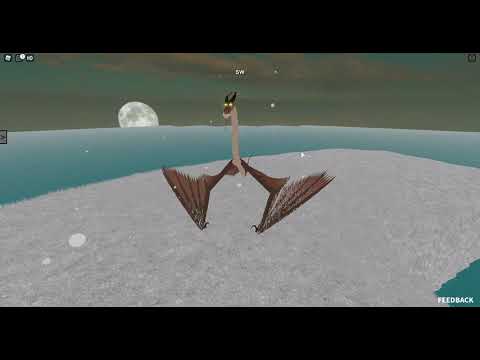 Berks Dragons Episode 4 TimberJack