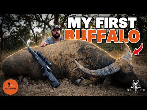 My first Buffalo
