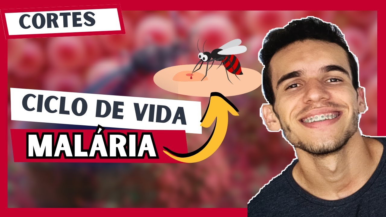 Ciclo de Vida/Biológico da MALÁRIA - Plasmodium - Parasitologia - Luix Nascimento Biologia