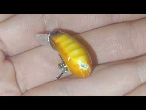 CC28 Problem solved / CC28 Проблемът е решен