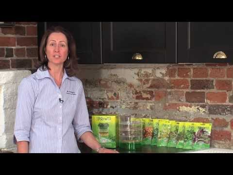 download lagu mp3 mp4 Sprouts Alive, download lagu Sprouts Alive gratis, unduh video klip Sprouts Alive