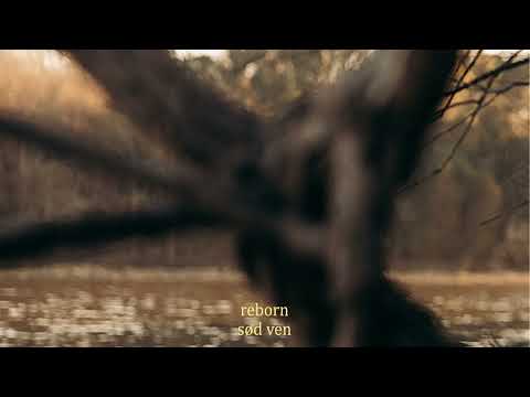 sød ven - reborn (lyric video)