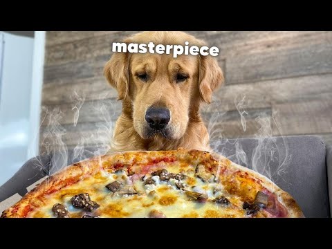 My Golden Retriever Orders Pizza Without Me!