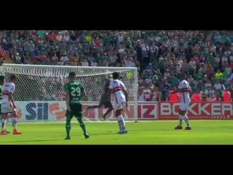 BOTAFOGO SP 0 X 1 PALMEIRAS l MELHORES MOMENTOS HD 21/01/2018