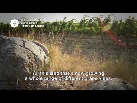 Descubra a Rota dos Vinhos e o DO Empordà com Pitu Roca | @CostaBrava #InPyrenees