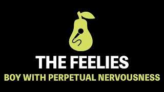 The Feelies - The Boy With the Perpetual Nervousness (Karaoke)