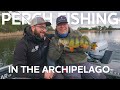Perch Fishing in The Archipelago | Westin Fishing