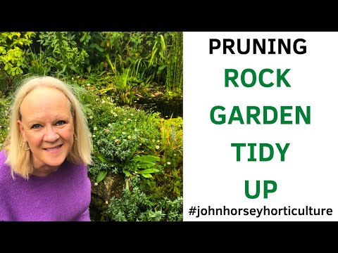 TRANSFORM YOUR ROCK GARDEN WITH THESE SIMPLE PRUNING TIPS