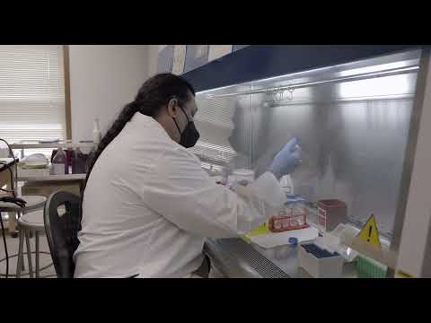 A Common Sequence trailer