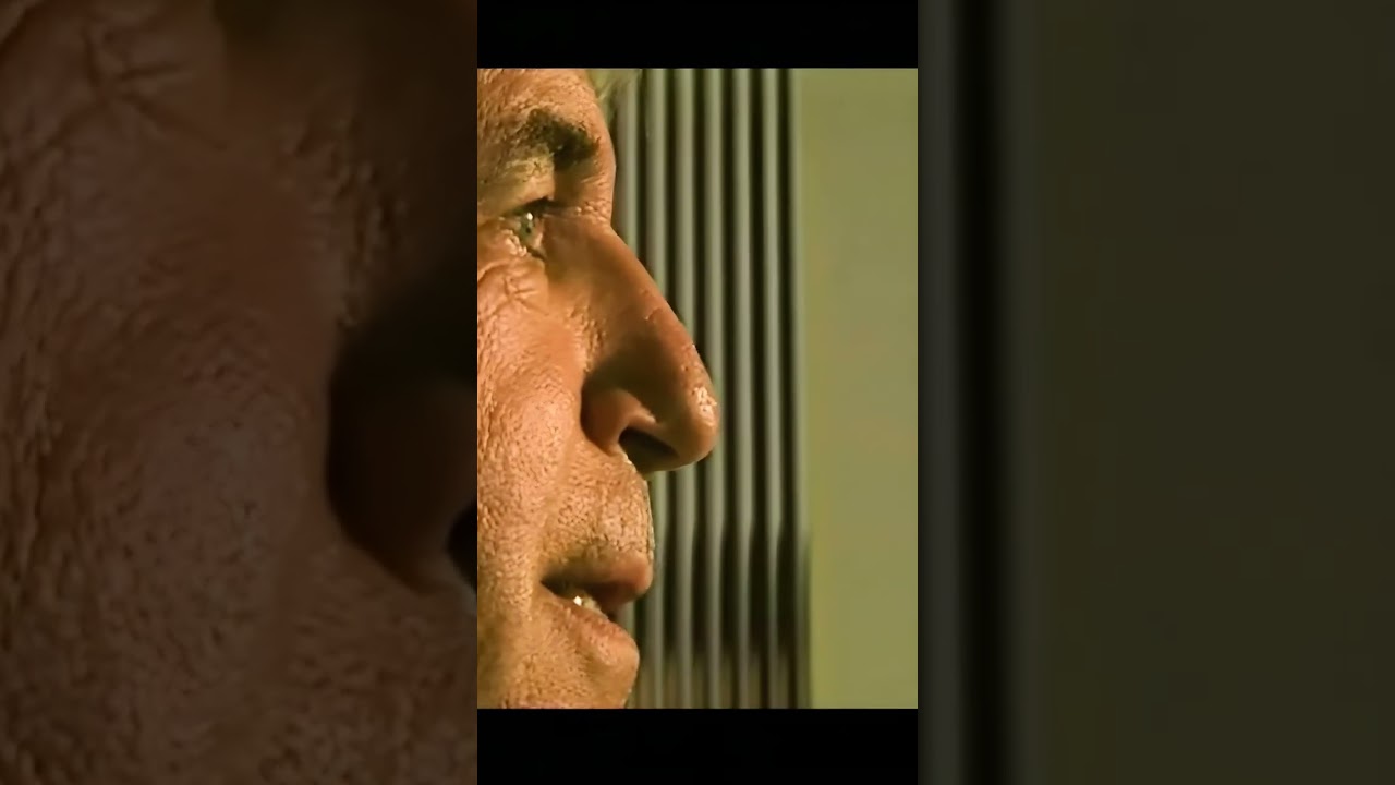 GRILLED PIG (Enhanced 4K)