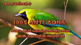 Download lagu Suara pikat cucak ranting || cucak ranting #cucakranting #cucakrante #burungkicau #suarapikatampuh mp3