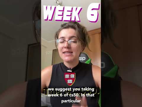 Should I Take CS50 or CS50 Python?