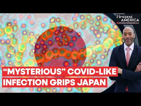 Japan: Lethal Infection Spreads, Govt Advises Covid Pandemic-Like Precautions | Firstpost America