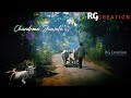 Gori Tera Gaon Bada Pyara Status Video