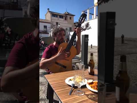 El chipirón las alas al viento