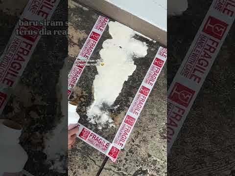 Black, Grimy Floors Turn Sparkling Clean in a Flash with SONS21 Cement Remover!