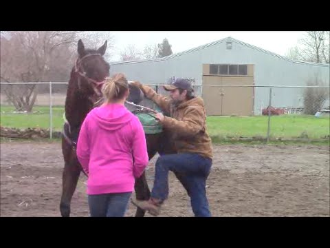 Training Horses not to walk off while Mounting, Mike Hughes, Auburn California