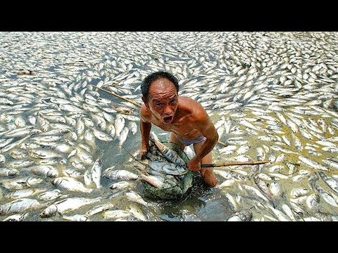 Die Schnellsten Arbeiter der Welt (Niemand kann sie schlagen!)