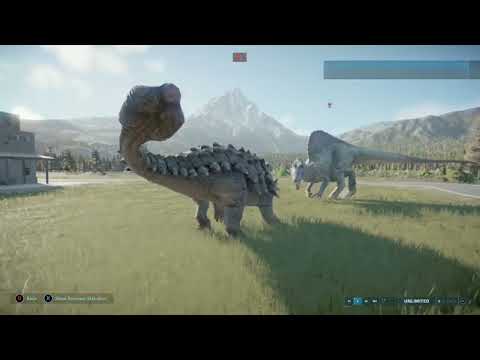 How Most Anky vs Carnivore fights should go-JWE 2