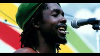 Peter Tosh - What&#39;cha Gonna Do