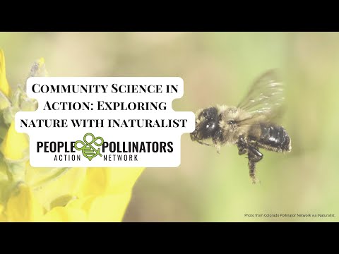 Community Science in Action: Exploring Nature with iNaturalist