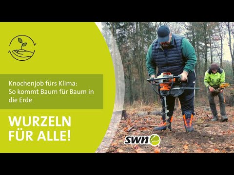 So pflanzen wir 70.000 Bäume