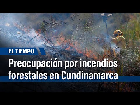 Preocupación en Cundinamarca por incendios forestales | El Tiempo