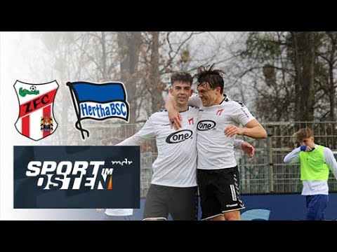 Pauling-Doppelpack reicht nicht – ZFC Meuselwitz schenkt Hertha-Nachwuchs einen Punkt | Sport im Ost