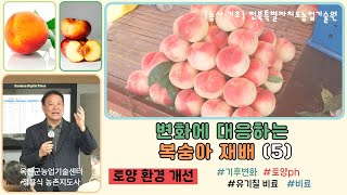 ✨변화에 대응하는 복숭아 재배(5) _ 토양 환경 개선 / 토양ph, 유기질비료, 비료
