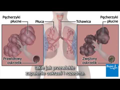 Wideo Jak podkręcić mięśnie pośladków i nóg Mięśnie pracują podczas jazdy na rowerze