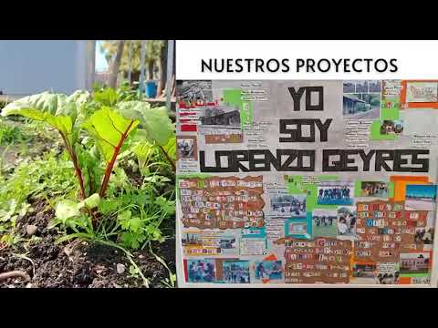 Video Lorenzo Geyres