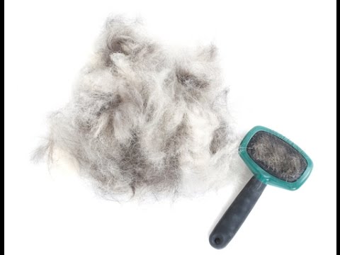 Chemioterapia dla hairloss Maska do włosów syoss odżywianie pielęgnacja olej