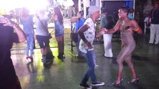 Tigresa cubana de los muñequitos de matanzas