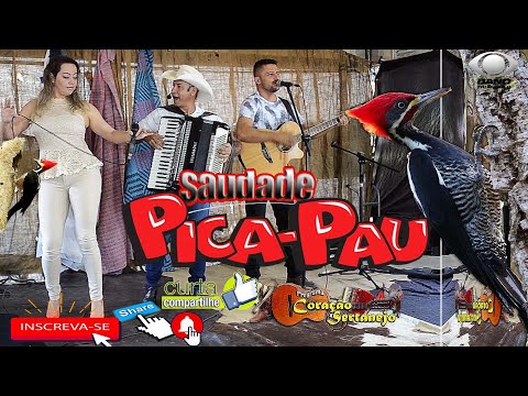Saudade do Pica-pau - Trio Parada Dura