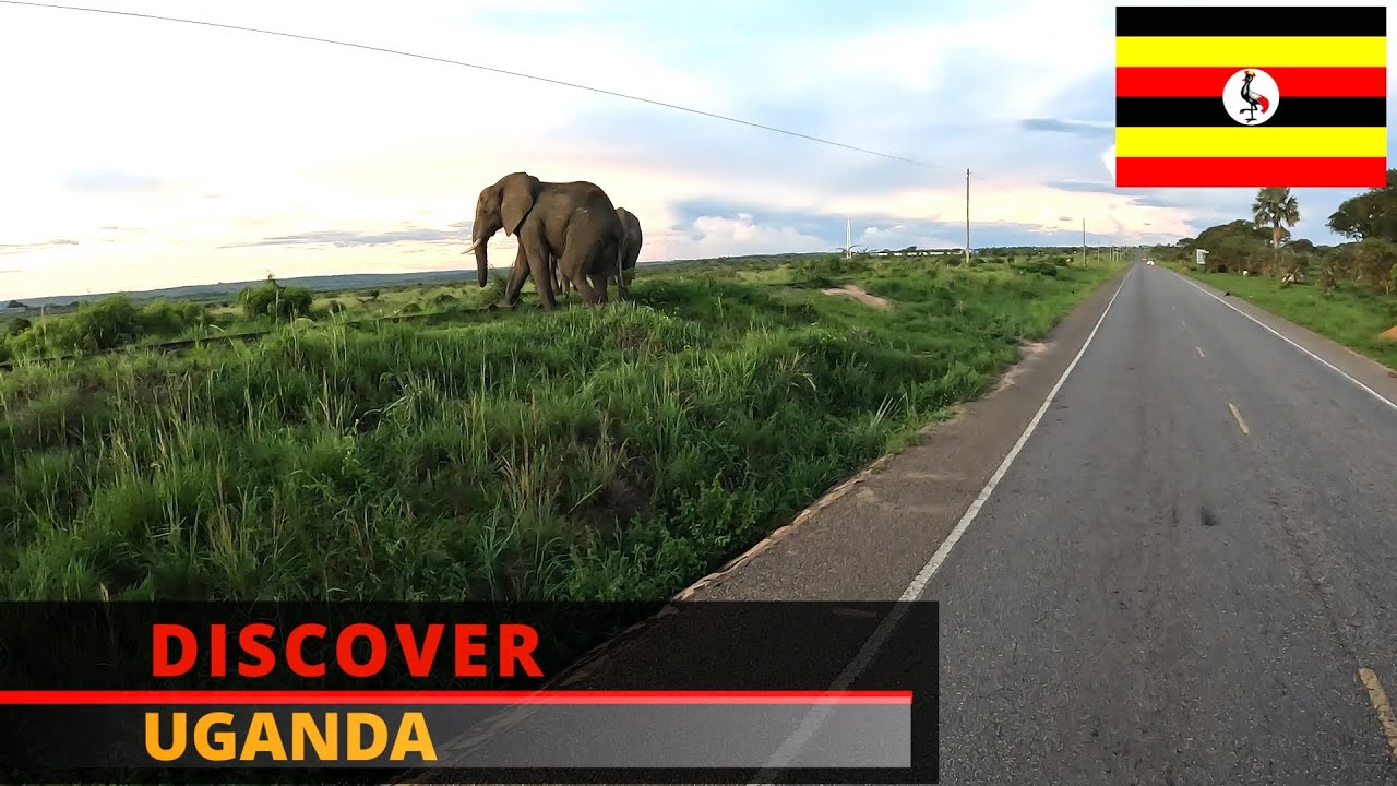 Discover Uganda's Murchison Falls National Park#uganda #murchisonfallsnationalpark #discoveruganda