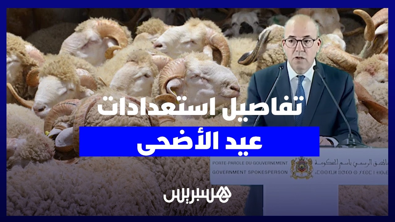 البواري يكشف تفاصيل استعدادات عيد الأضحى ويشدد: "الوفرة كبيرة وبغينا كلشي يعيّد" thumbnail