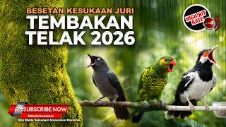 Download lagu 🔴 Live Besetan Mewah Pukulan Telak 2026 Jalak Uren Gacor vs Perkici Gacor vs Srigunting Cililin mp3
