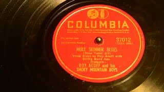Mule Skinner Blues