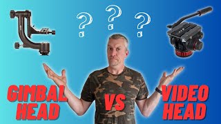 Gimbal vs Video Head for Wildlife Photography (Full Breakdown)