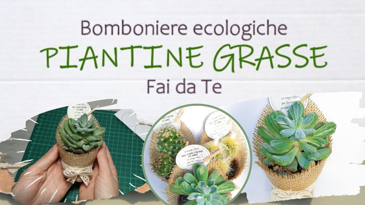 Piante grasse│BOMBONIERE ECOLOGICHE Fai da Te│TUTORIAL│i Quattro Elementi - Naturalis Solutio