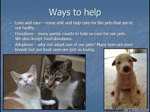 Let s us help our abandoned pe