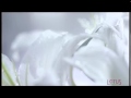 Official TVC: Lotus WHITEGLOW™ English 