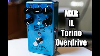 Video thumbnail for MXR Il Torino Overdrive Review (A Two Mode Overdrive Pedal) by Elmo Karjalainen