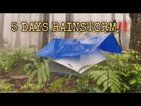 5 Days in Heavy Rainstorm‼️ Very Long Heavy Rain and Thunderstorm Camping‼️ ASMR